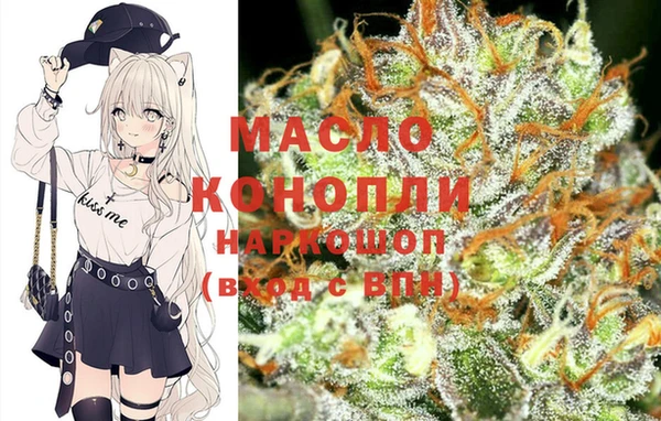 молекула духа Заводоуковск