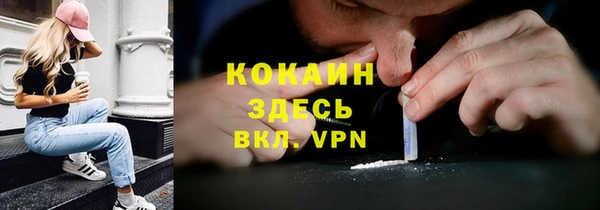 молекула духа Заводоуковск