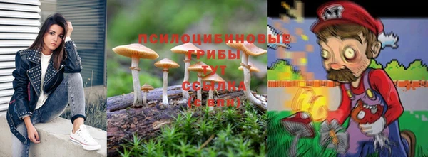 СК Покачи