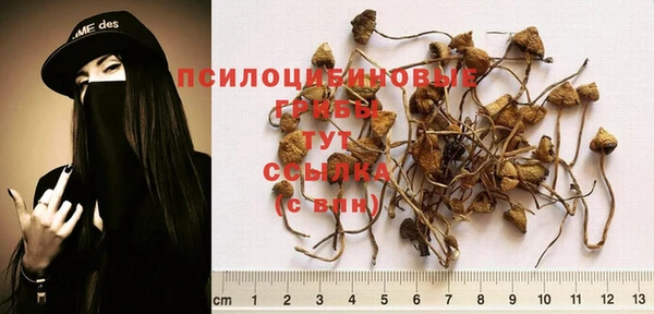 герыч Заволжск