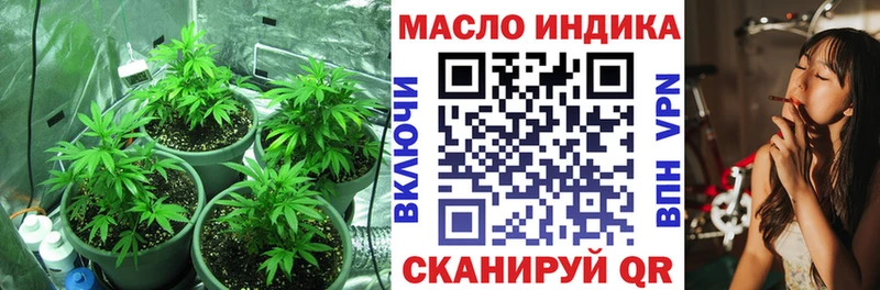 MEGA ТОР  Судогда  ТГК концентрат 
