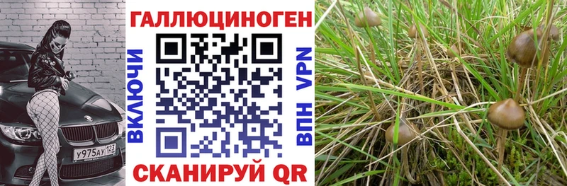 это какой сайт  Судогда  Галлюциногенные грибы ЛСД 